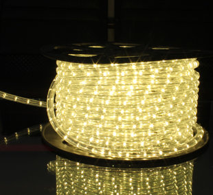 Two wires LED rope light 36led/m